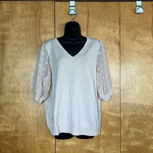 EUC Cream Sweater with Shear Sleeves